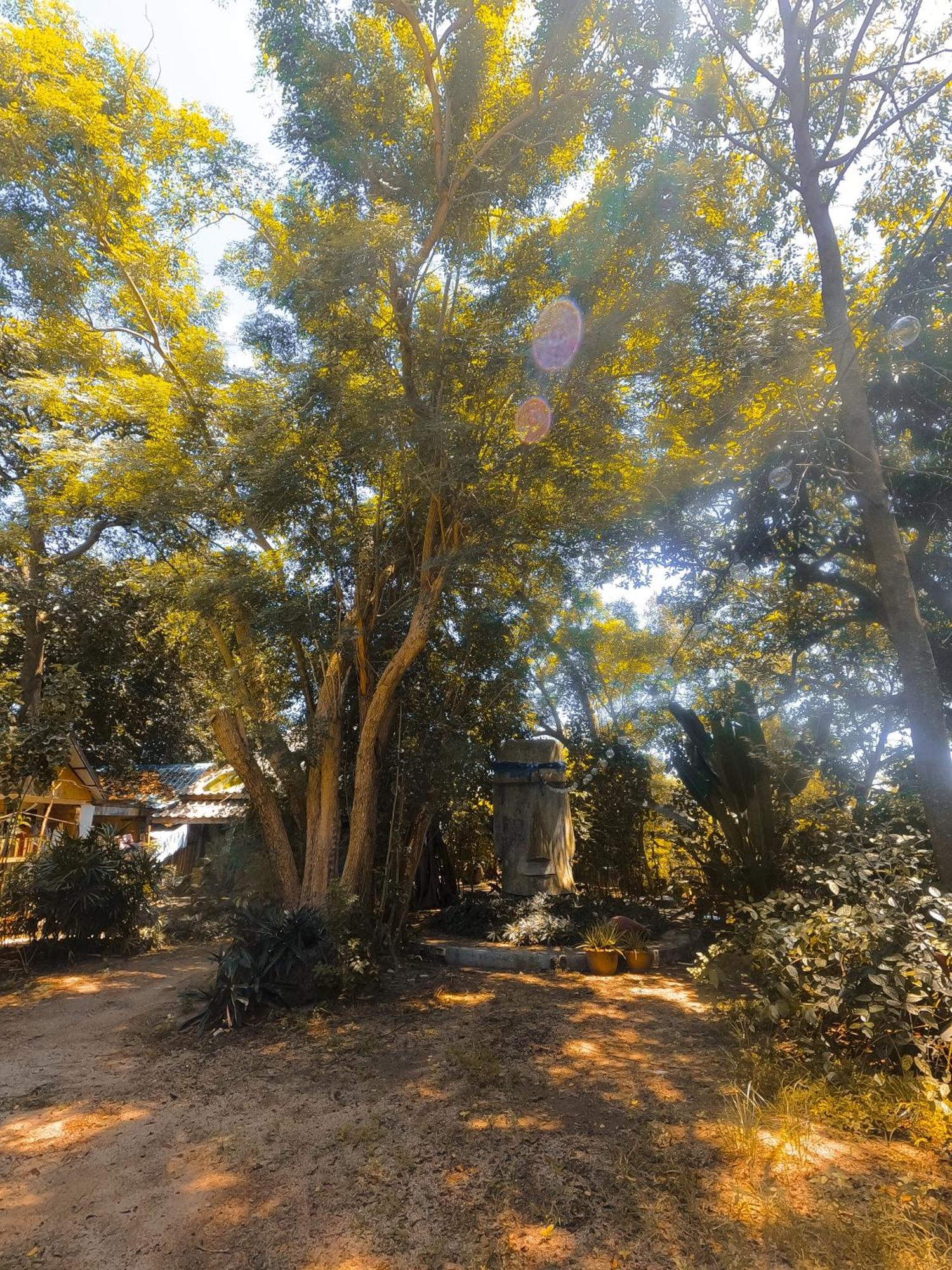 Moov Inn Garden Hostel Ko Tao Luaran gambar